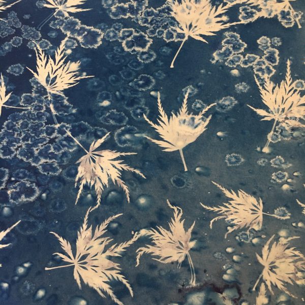 wet cyanotype