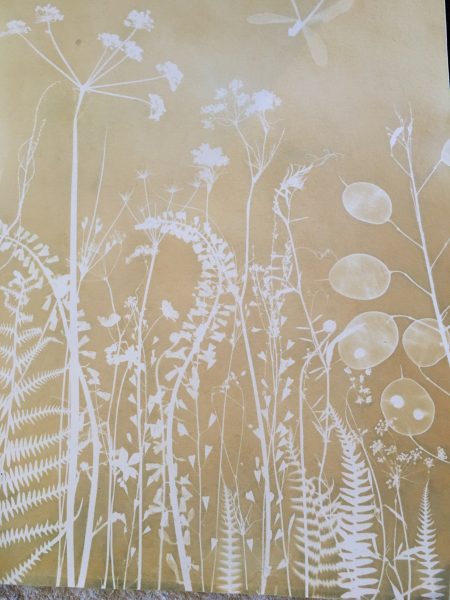 cyanotype gold tint