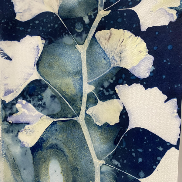 Wet Cyanotype by Kate Churchwell