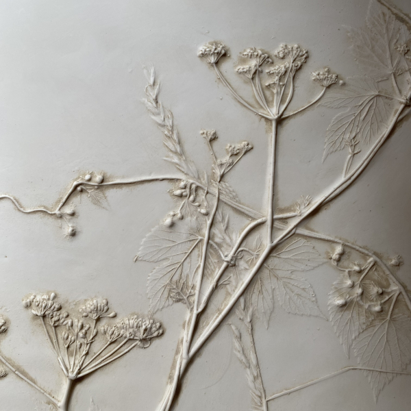 Fennel Bas Relief by Kate Churchwell