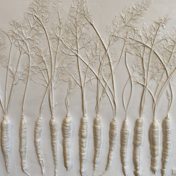 Carrots Bas Relief