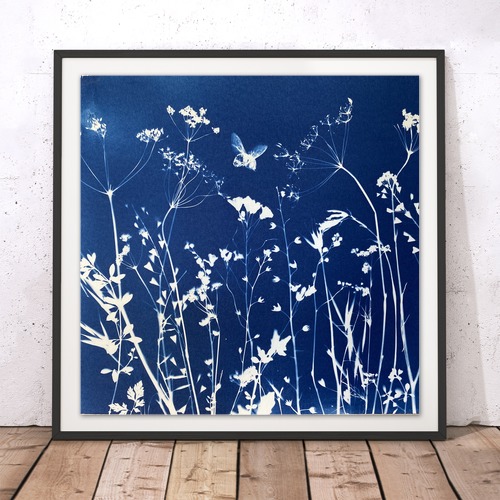 Bee Cyanotype