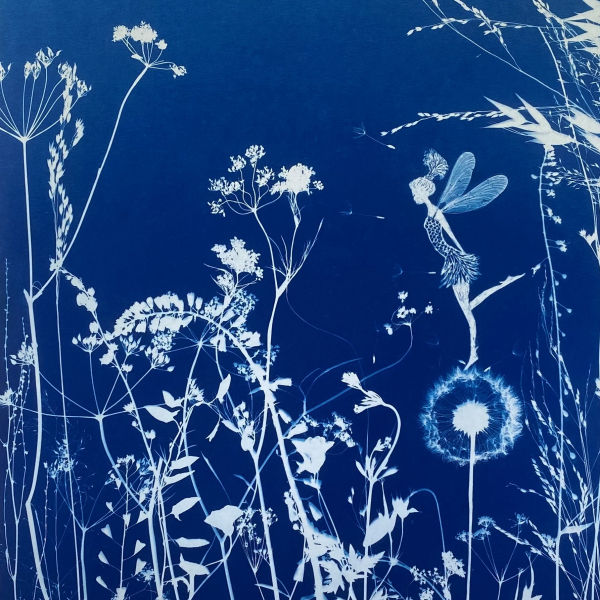 fairy cyanotype